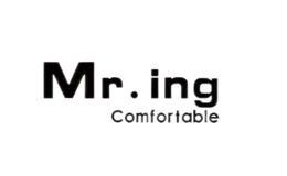 Mr.ing