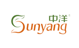 中洋Sunyang