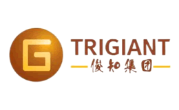 俊知TRIGIANT