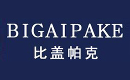 比蓋帕克BIGAIPAKE