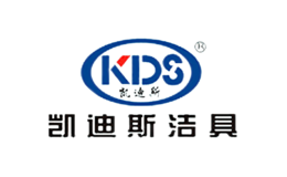 凱迪斯KDS