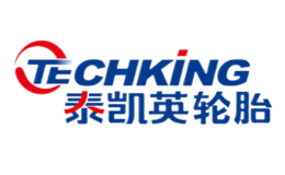 泰凱英Techking