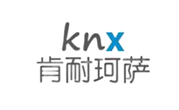 肯耐珂薩knx