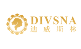 迪威斯林DIVSNA