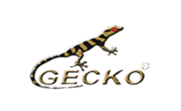 壁虎GEOCKO