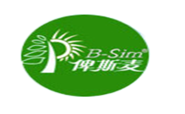 俾斯麥BSIM